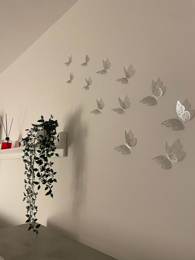 Appartement Piccolo Fiore *